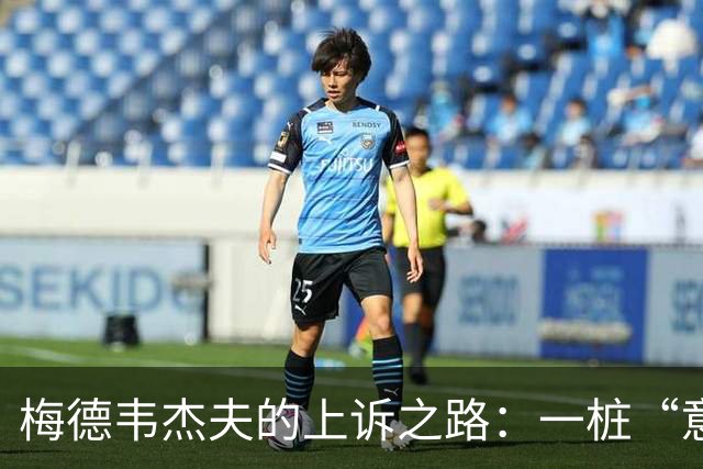 梅德韦杰夫的上诉之路：一桩“意外”事件的旋涡
